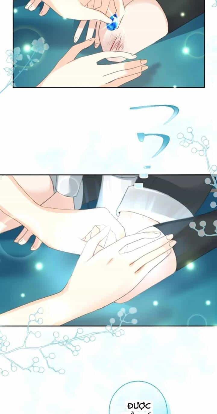 Quý Cô Không Rơi Nước Mắt - Chương 27 - ảnh 31