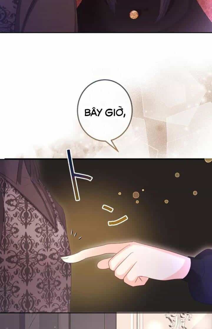 Quý Cô Không Rơi Nước Mắt - Chương 31 - ảnh 35