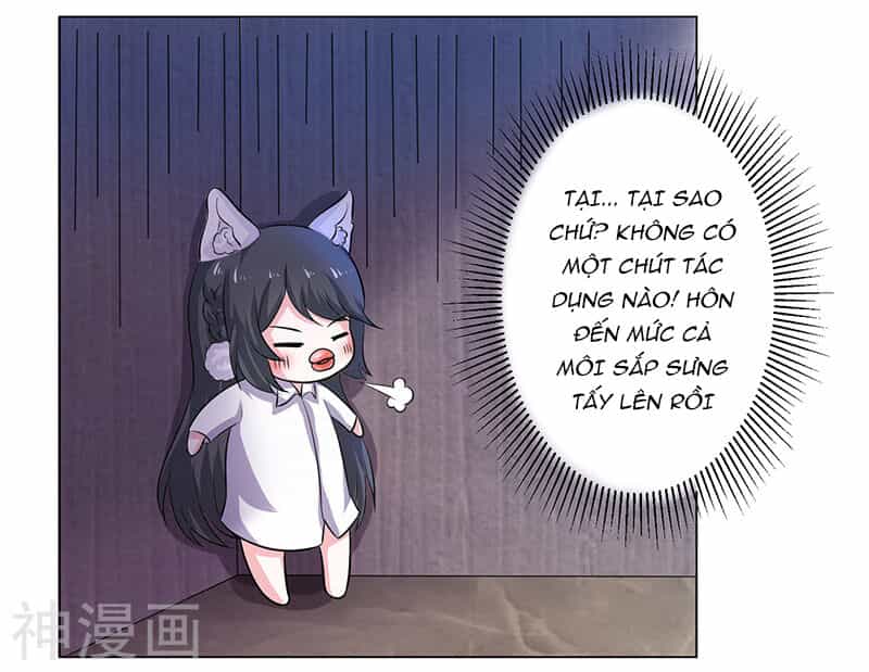 Quy Luật Năm Bản Mệnh Của Hồ Ly - Chương 11 - ảnh 5