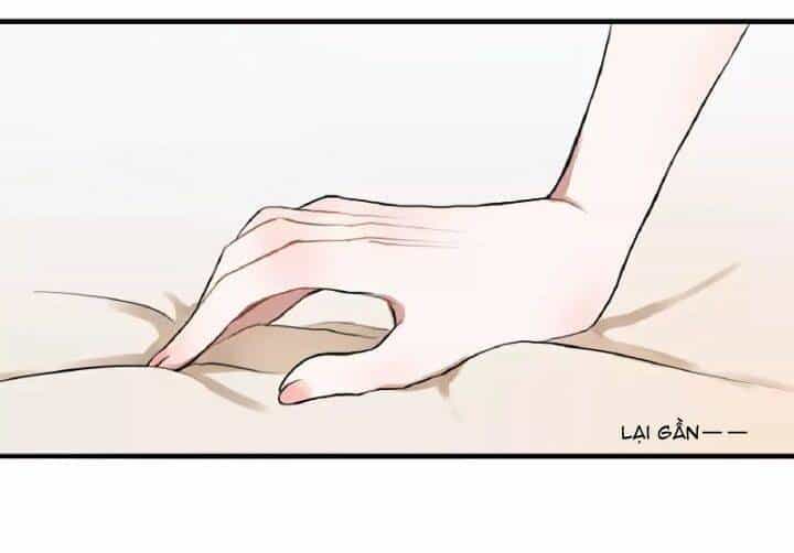 Quy Luật Tình Yêu - Chương 3 - ảnh 50