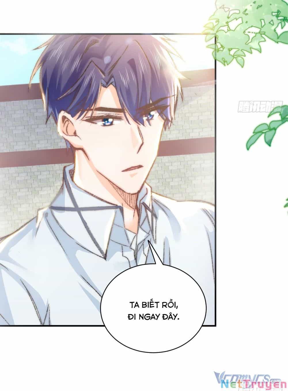 Quy Luật Yêu Đương Của Hải Vương - Chương 17 - ảnh 5