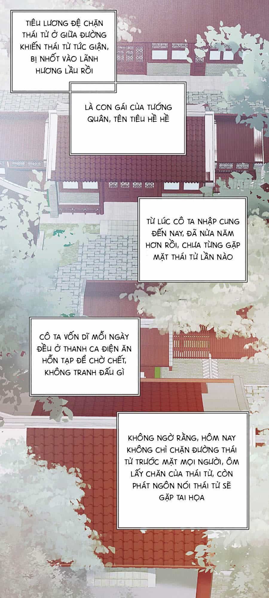 Quý Phi Muốn Trở Thành Con Cá Mặn Mòi - Chương 1 - ảnh 36