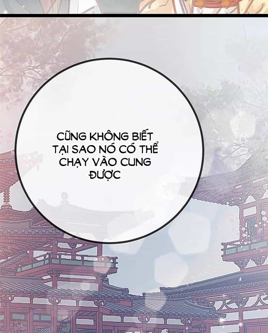 Quý Phi Muốn Trở Thành Con Cá Mặn Mòi - Chương 44 - ảnh 5
