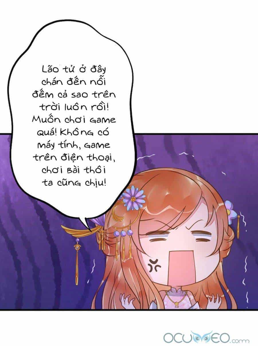 Quý Phi Này Có Chút Cơ - Chương 11 - ảnh 14