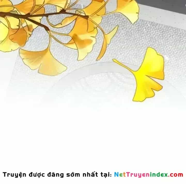 Quyền Vương Phục Sinh - Chương 51 - ảnh 30