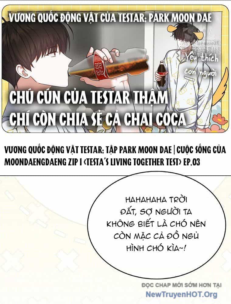 Ra Mắt Hay Ra Đi - Chương 81 - ảnh 17