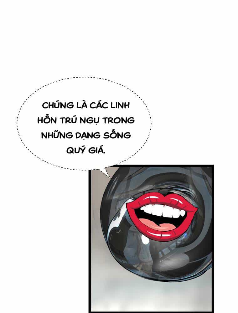 Ranker Bất Bại - Chương 29 - ảnh 27