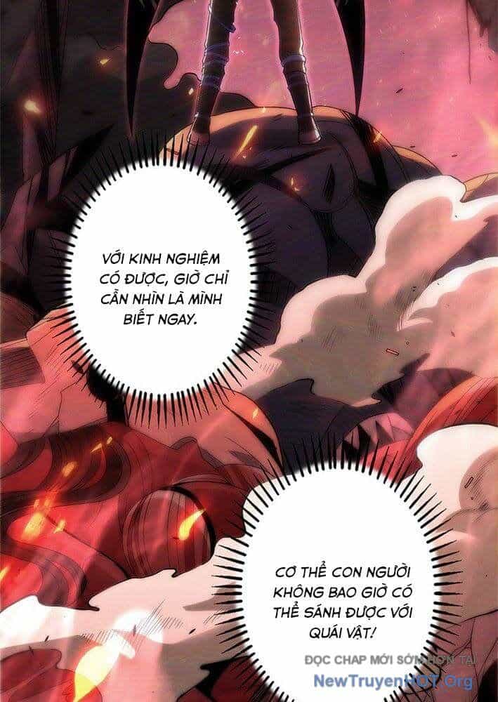 Ranker Sss Được Chọn - Chương 1 - ảnh 88