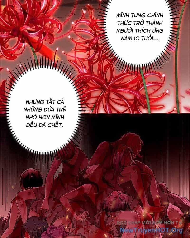 Ranker Sss Được Chọn - Chương 4 - ảnh 17