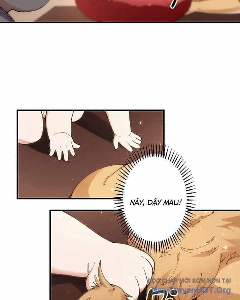 Ranker Sss Được Chọn - Chương 5 - ảnh 28