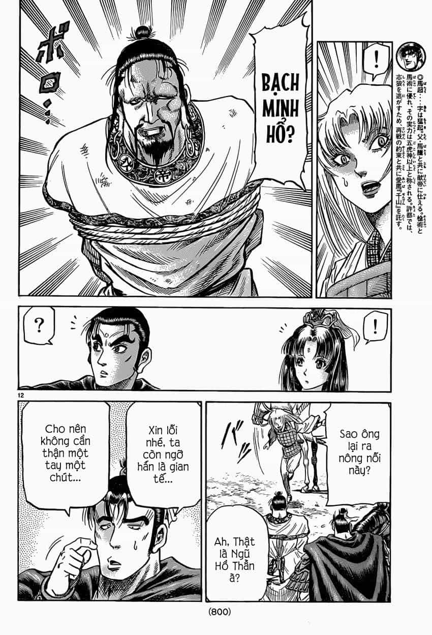 Ryuuroden - Chú Bé Rồng - Chương 246 - ảnh 12