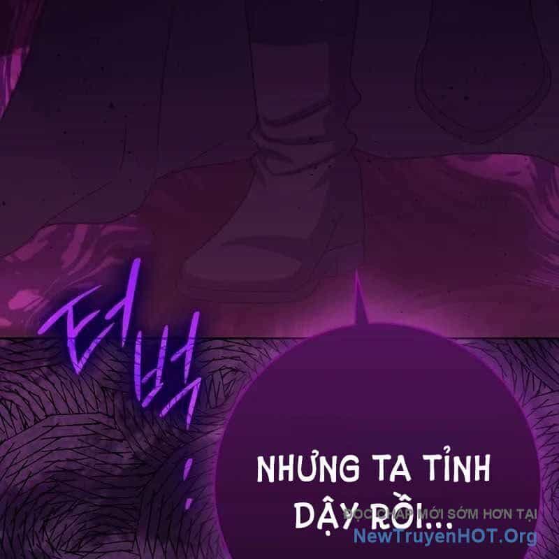 Sát Thủ Tái Sinh Thành Một Kiếm Sĩ Thiên Tài - Chương 71 - ảnh 194