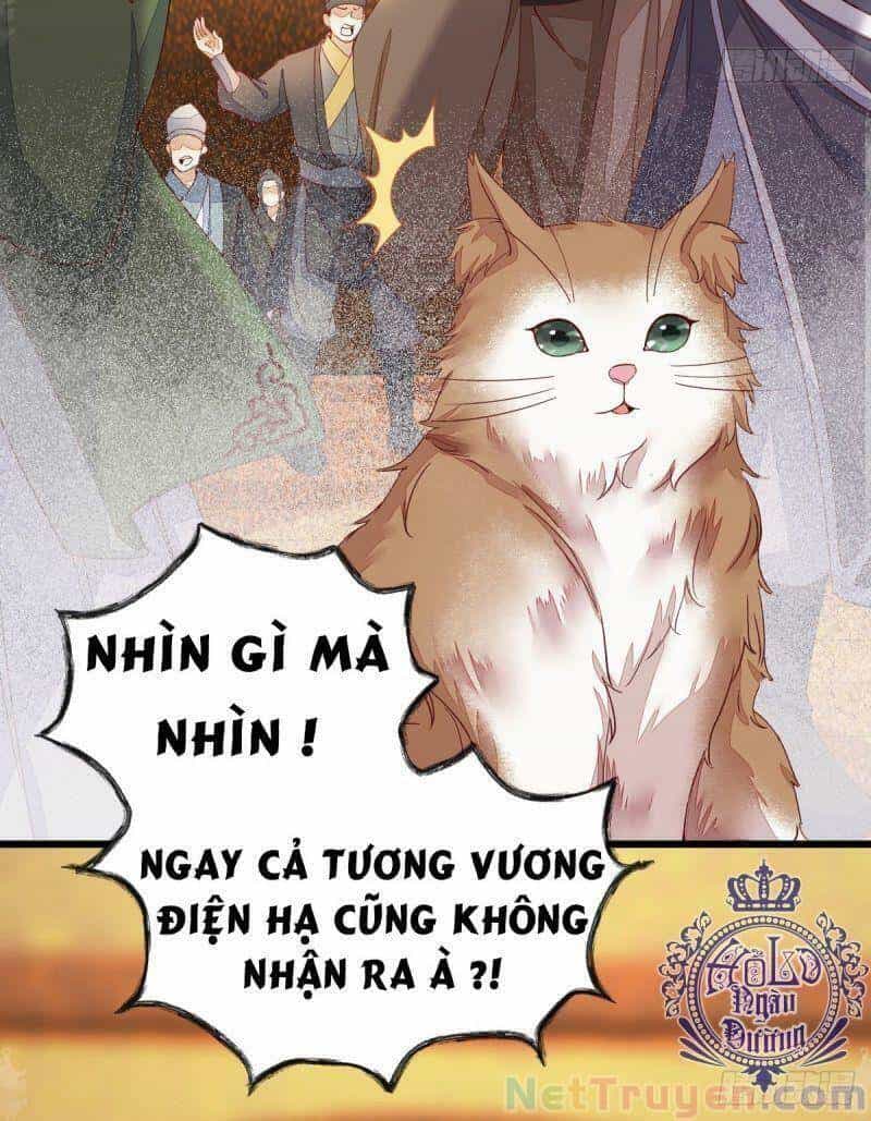 Sát Thủ Vương Phi Không Dễ Chọc - Chương 44 - ảnh 40
