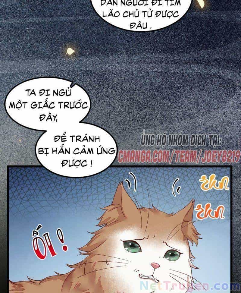 Sát Thủ Vương Phi Không Dễ Chọc - Chương 44 - ảnh 45
