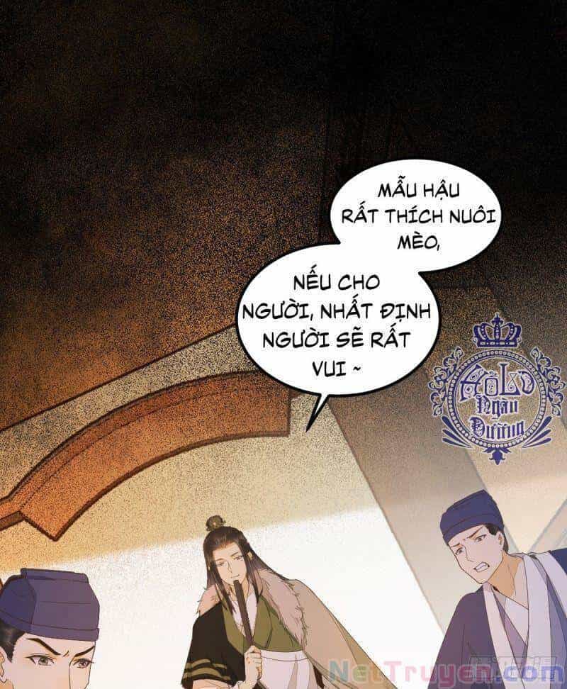 Sát Thủ Vương Phi Không Dễ Chọc - Chương 44 - ảnh 50