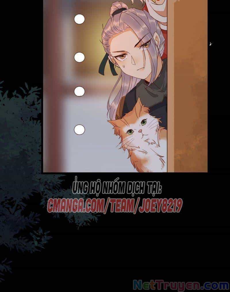 Sát Thủ Vương Phi Không Dễ Chọc - Chương 46 - ảnh 17