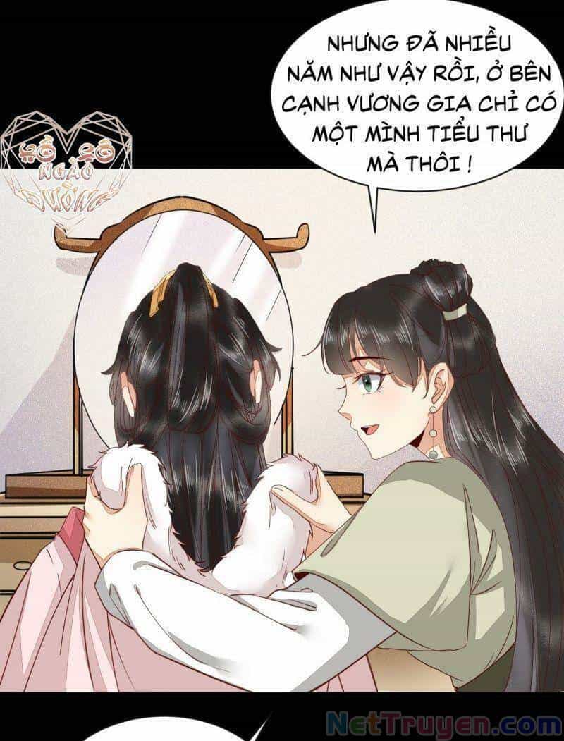 Sát Thủ Vương Phi Không Dễ Chọc - Chương 46 - ảnh 34