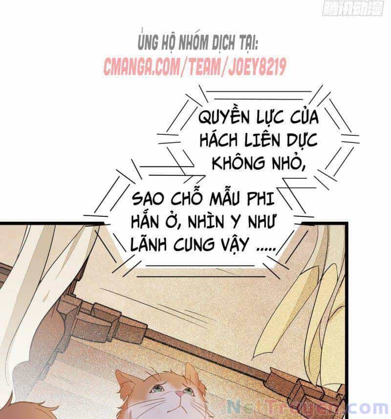 Sát Thủ Vương Phi Không Dễ Chọc - Chương 47 - ảnh 18