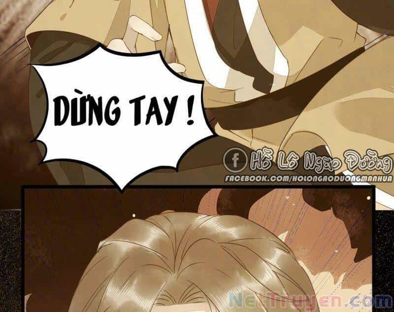 Sát Thủ Vương Phi Không Dễ Chọc - Chương 47 - ảnh 53