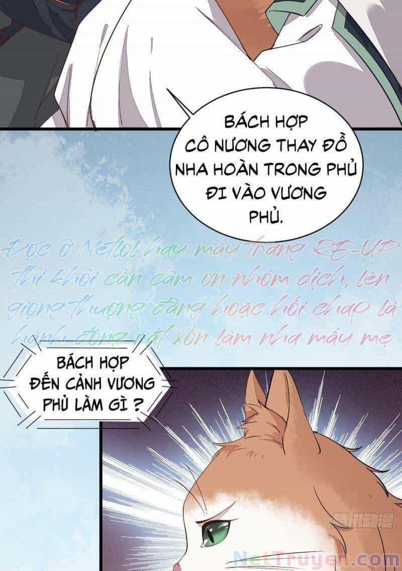 Sát Thủ Vương Phi Không Dễ Chọc - Chương 47 - ảnh 9
