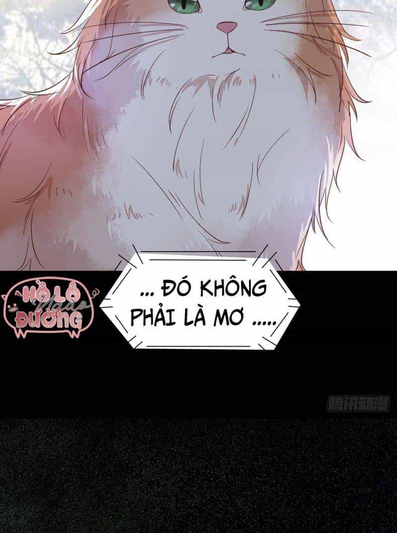 Sát Thủ Vương Phi Không Dễ Chọc - Chương 48 - ảnh 52
