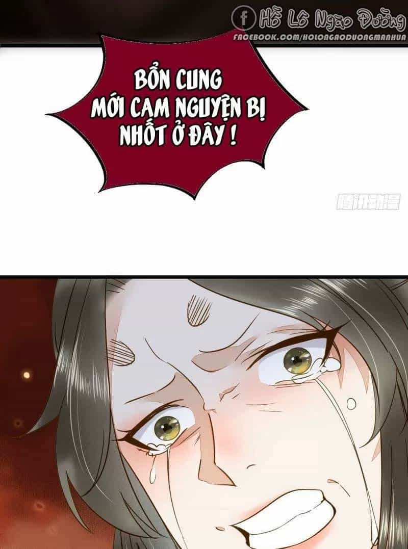 Sát Thủ Vương Phi Không Dễ Chọc - Chương 49 - ảnh 13