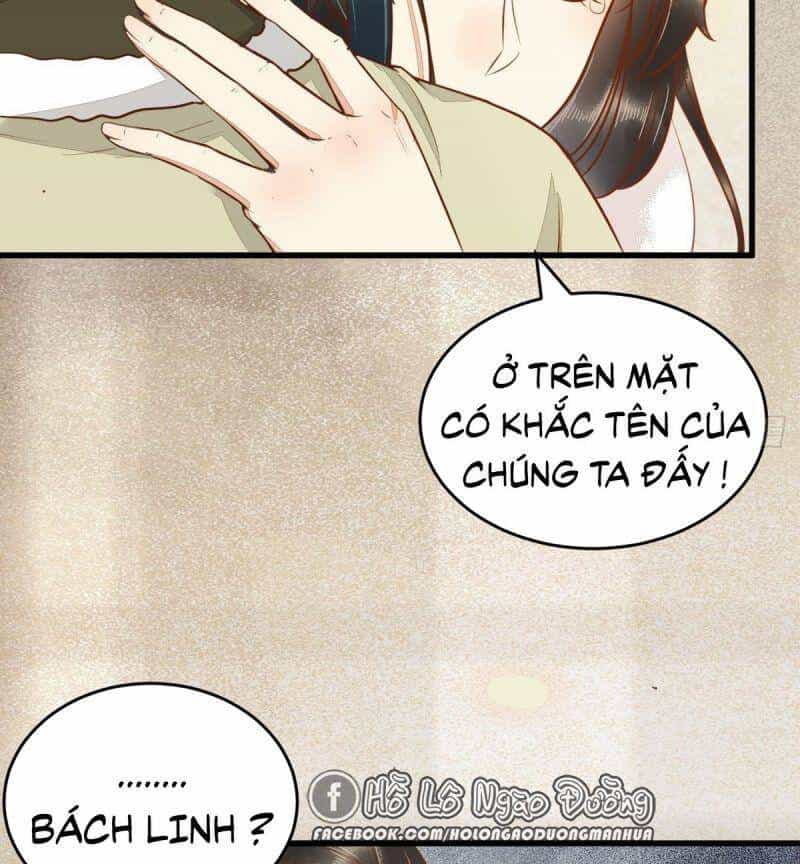 Sát Thủ Vương Phi Không Dễ Chọc - Chương 50 - ảnh 14