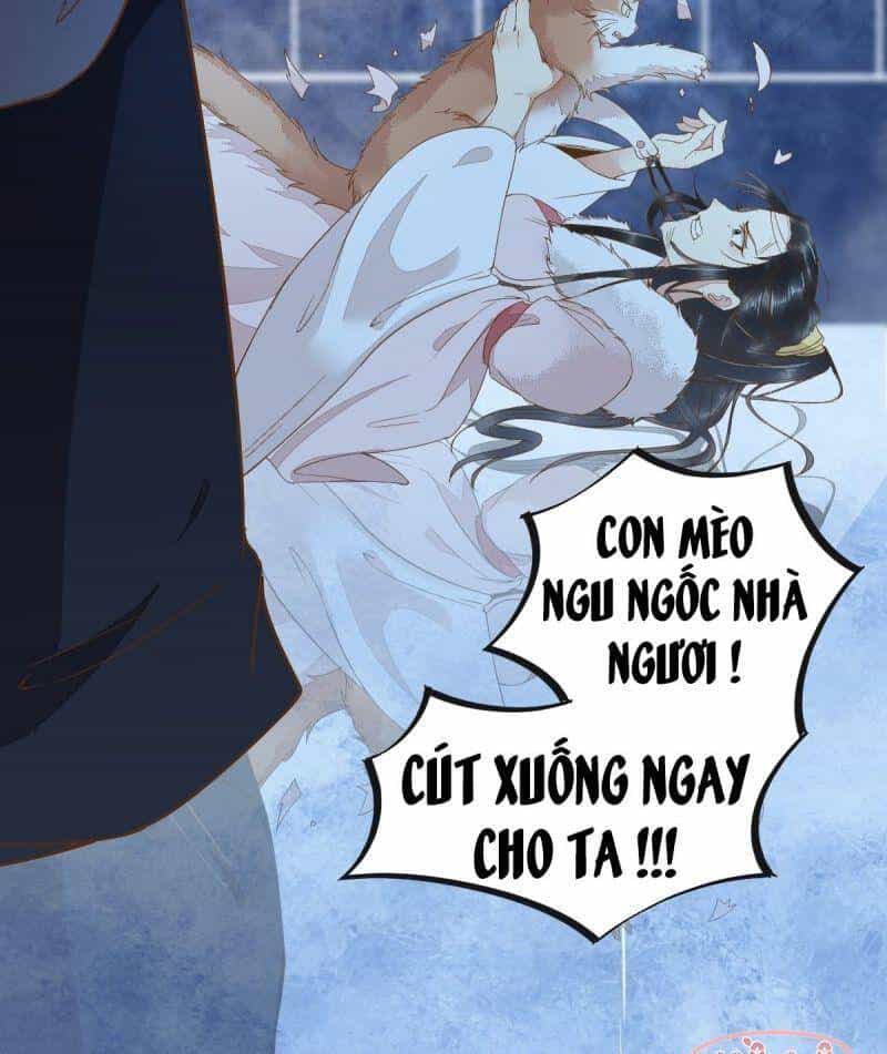 Sát Thủ Vương Phi Không Dễ Chọc - Chương 51 - ảnh 43