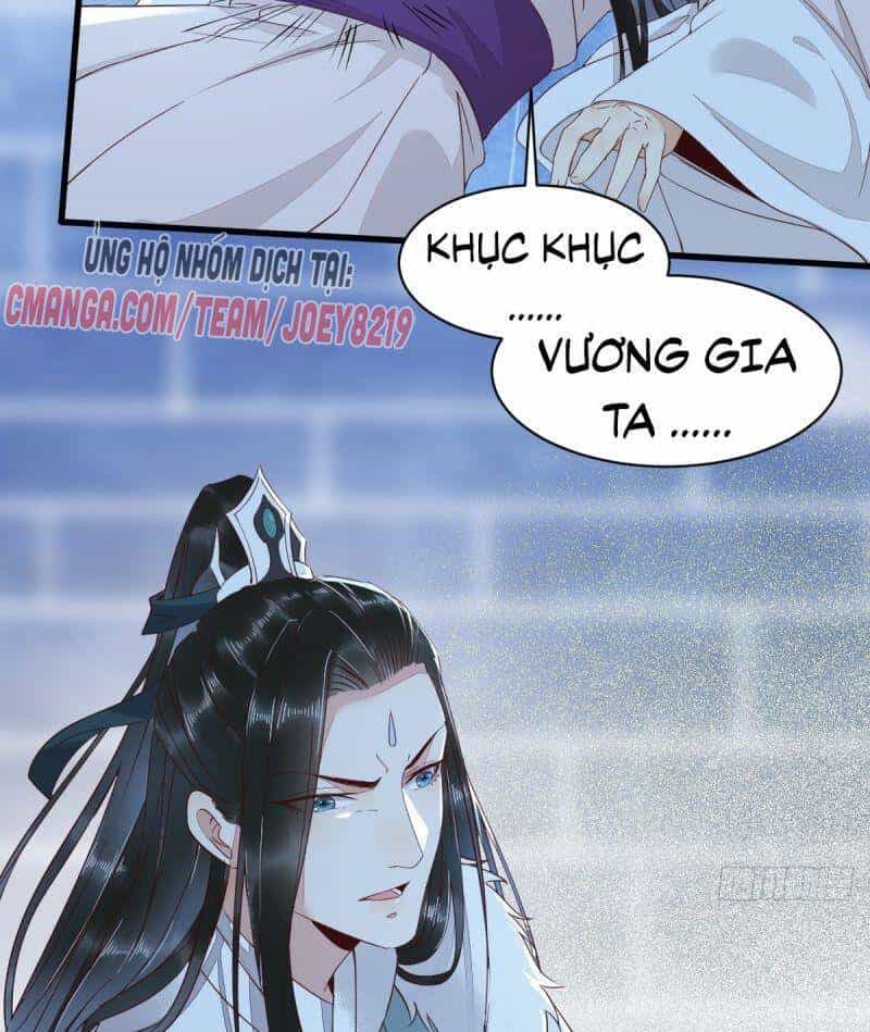 Sát Thủ Vương Phi Không Dễ Chọc - Chương 52 - ảnh 10