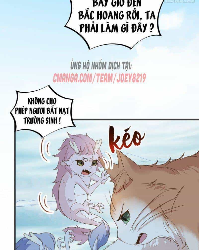 Sát Thủ Vương Phi Không Dễ Chọc - Chương 55 - ảnh 28