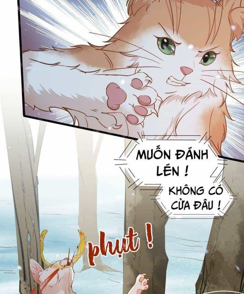 Sát Thủ Vương Phi Không Dễ Chọc - Chương 57 - ảnh 35