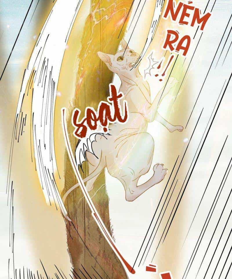Sát Thủ Vương Phi Không Dễ Chọc - Chương 57 - ảnh 38