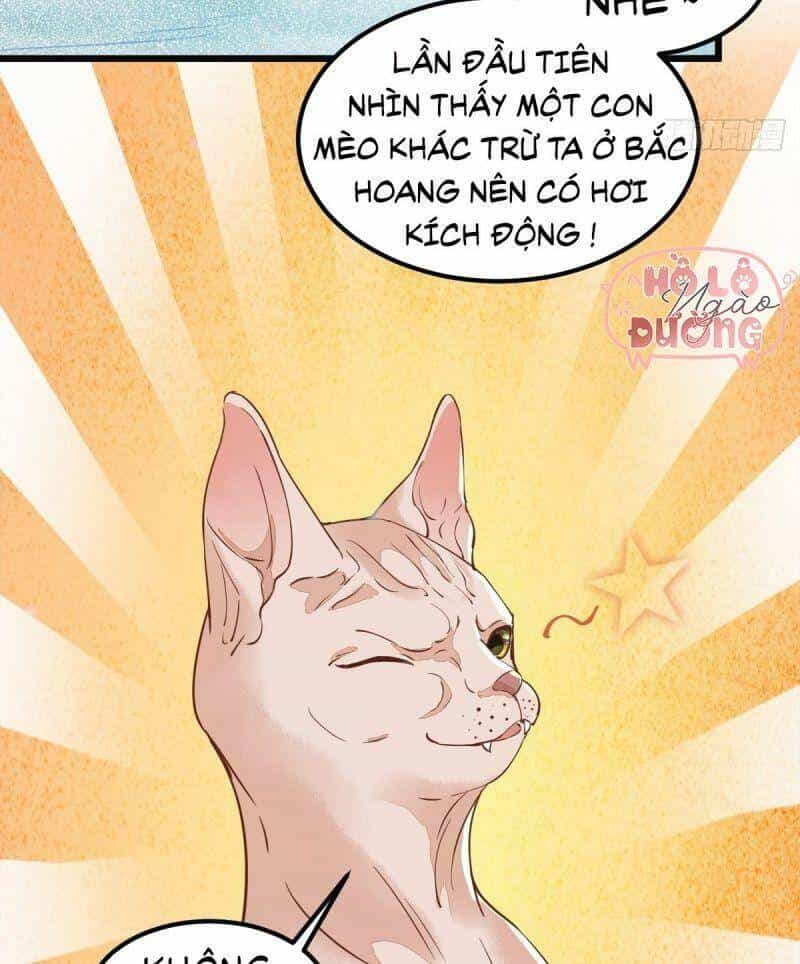 Sát Thủ Vương Phi Không Dễ Chọc - Chương 57 - ảnh 42