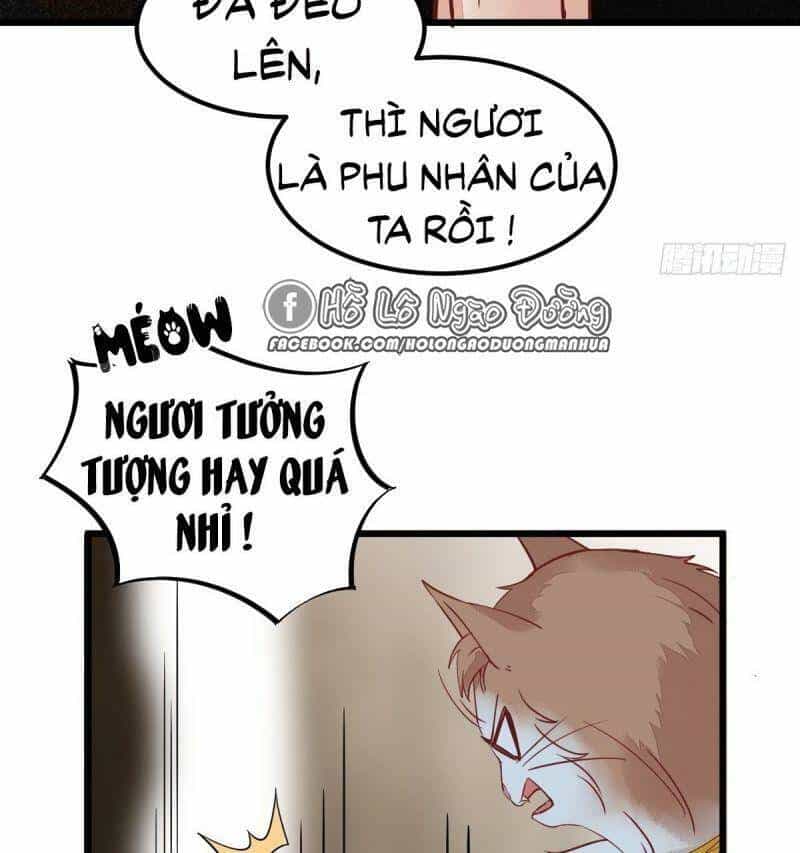 Sát Thủ Vương Phi Không Dễ Chọc - Chương 57 - ảnh 47