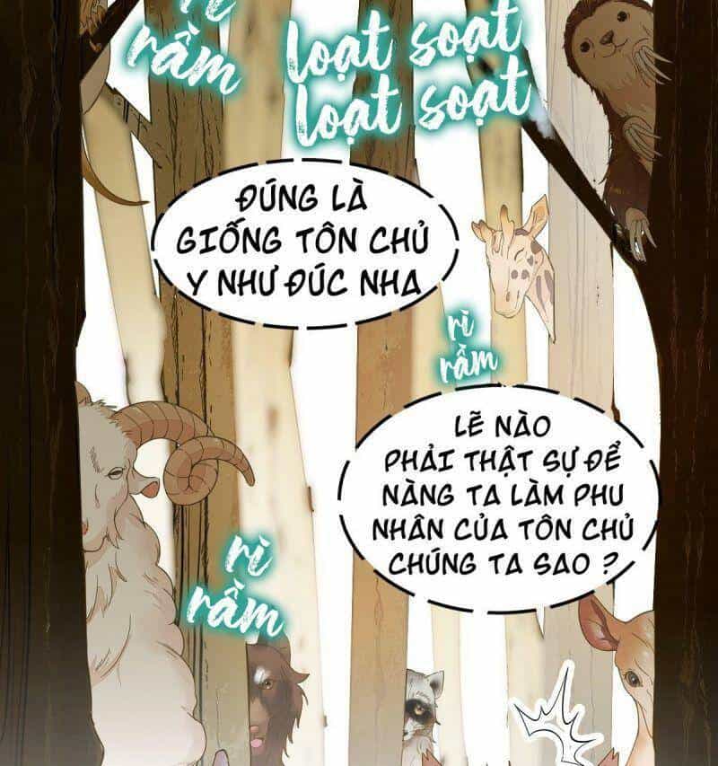 Sát Thủ Vương Phi Không Dễ Chọc - Chương 57 - ảnh 51