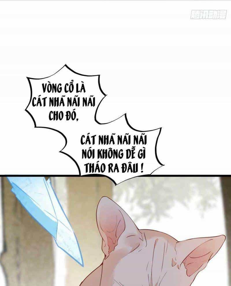 Sát Thủ Vương Phi Không Dễ Chọc - Chương 58 - ảnh 14