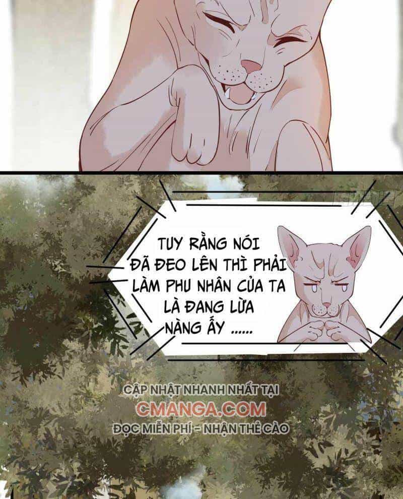 Sát Thủ Vương Phi Không Dễ Chọc - Chương 58 - ảnh 15