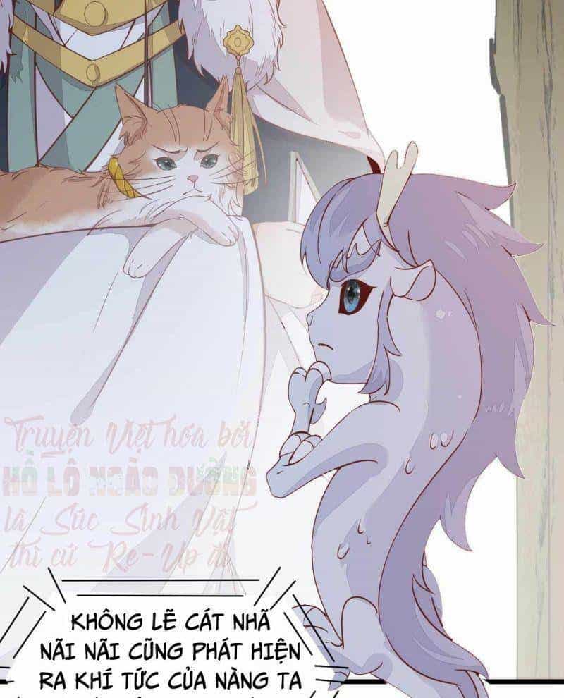 Sát Thủ Vương Phi Không Dễ Chọc - Chương 58 - ảnh 17