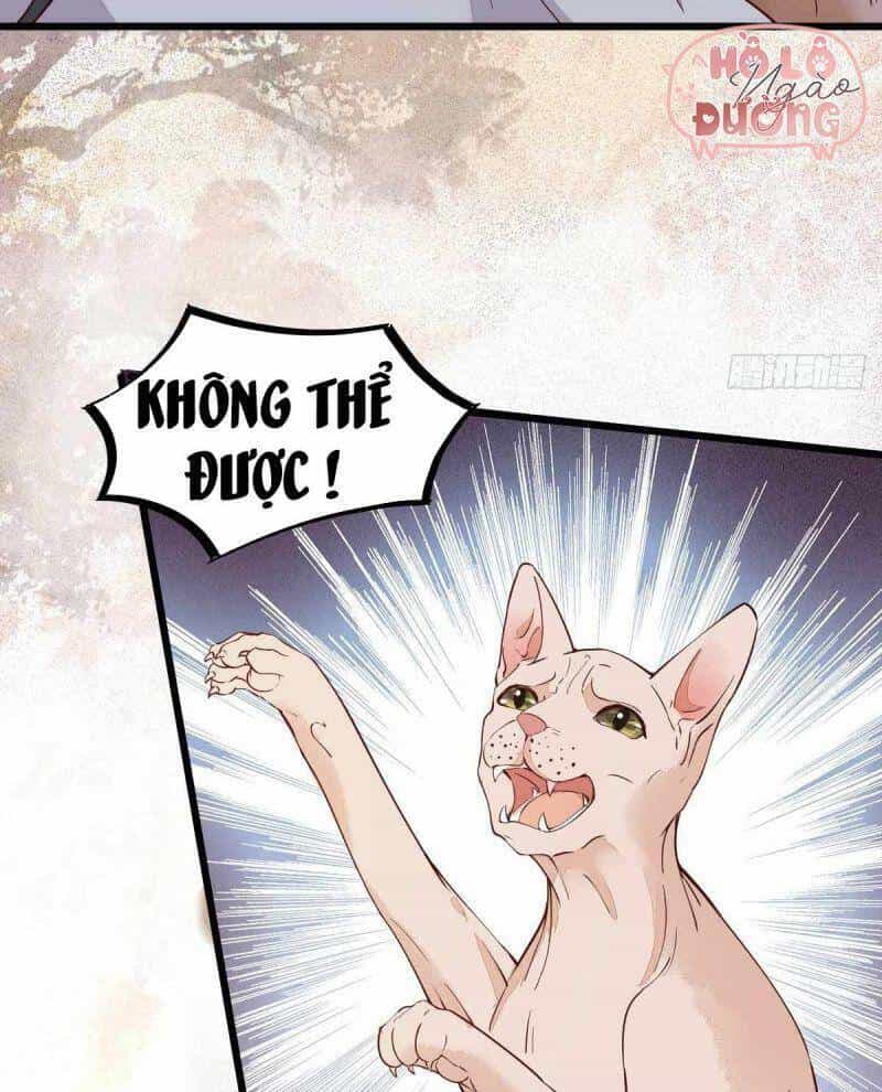 Sát Thủ Vương Phi Không Dễ Chọc - Chương 58 - ảnh 22