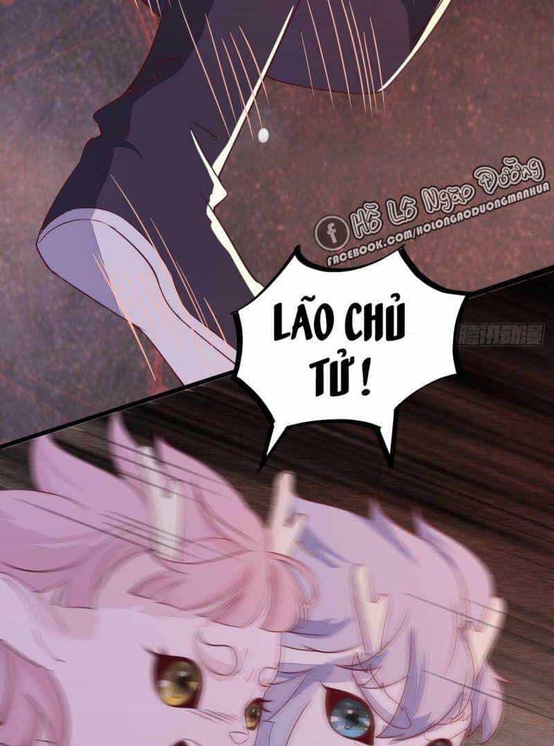 Sát Thủ Vương Phi Không Dễ Chọc - Chương 59 - ảnh 15