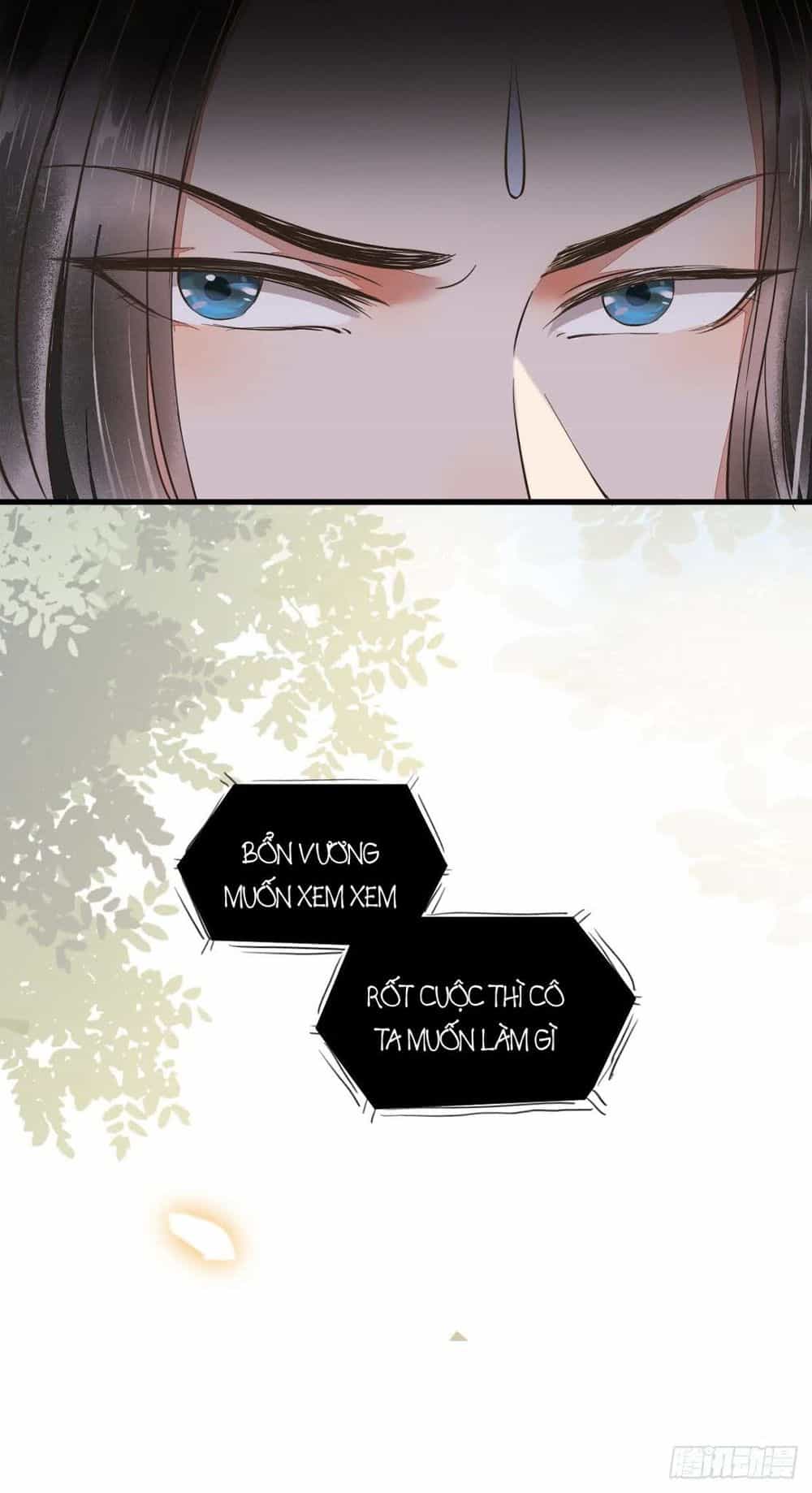 Sát Thủ Vương Phi Không Dễ Chọc - Chương 6 - ảnh 17