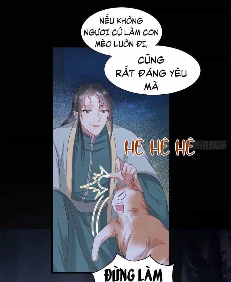 Sát Thủ Vương Phi Không Dễ Chọc - Chương 64 - ảnh 10