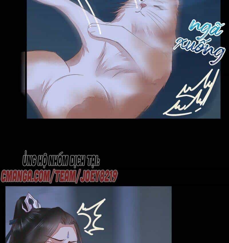 Sát Thủ Vương Phi Không Dễ Chọc - Chương 64 - ảnh 33