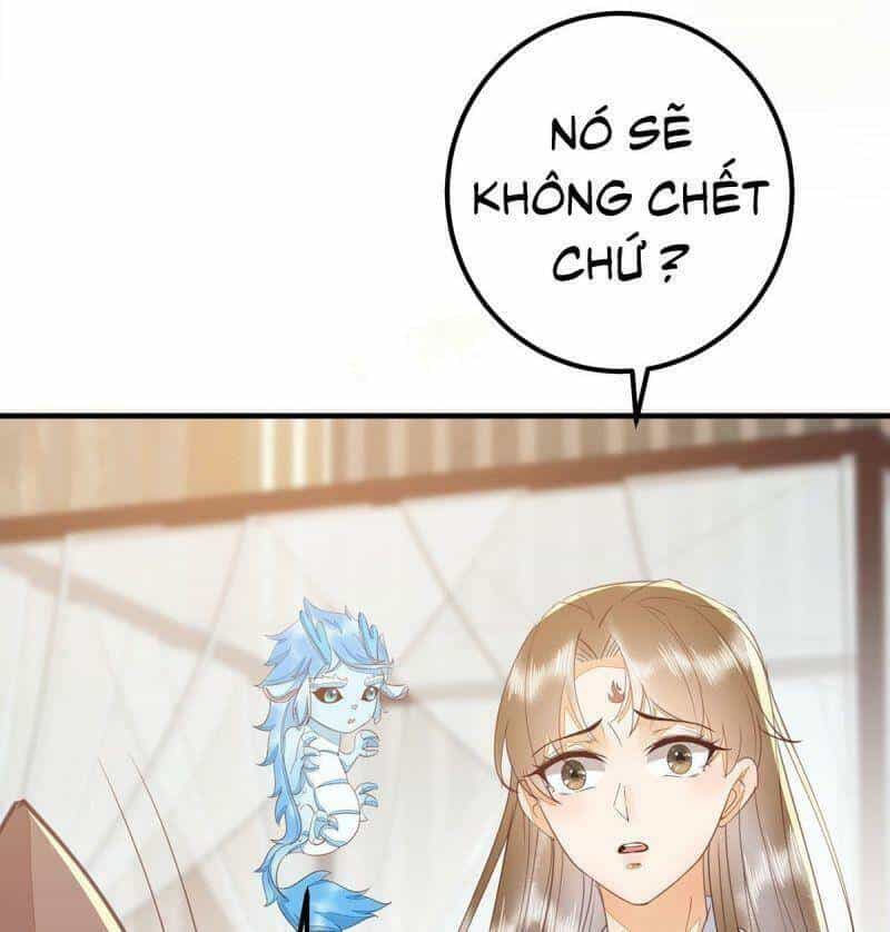 Sát Thủ Vương Phi Không Dễ Chọc - Chương 65 - ảnh 43