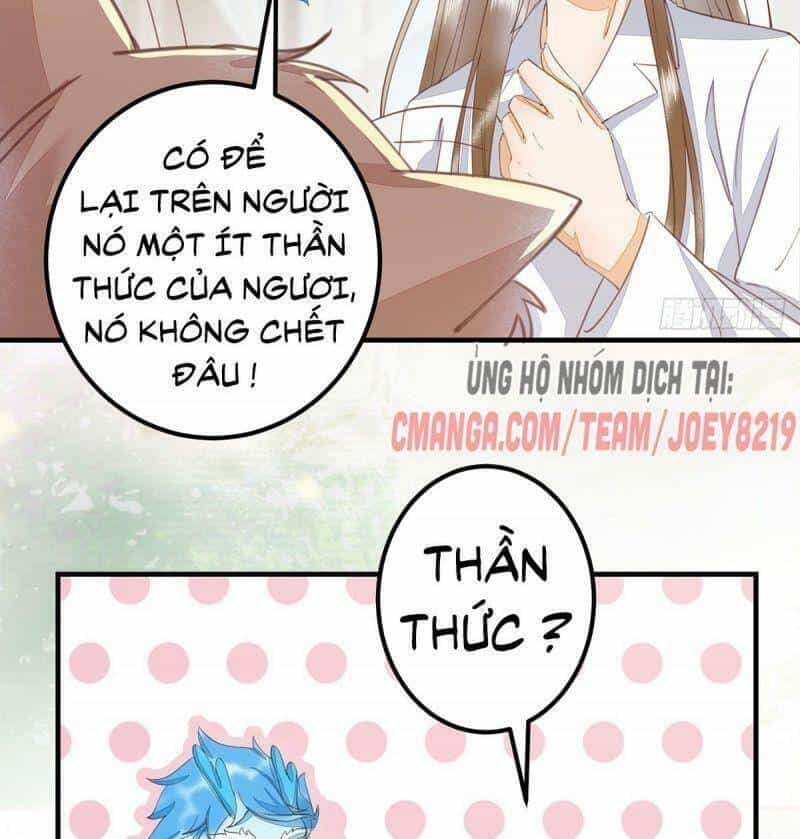 Sát Thủ Vương Phi Không Dễ Chọc - Chương 65 - ảnh 44