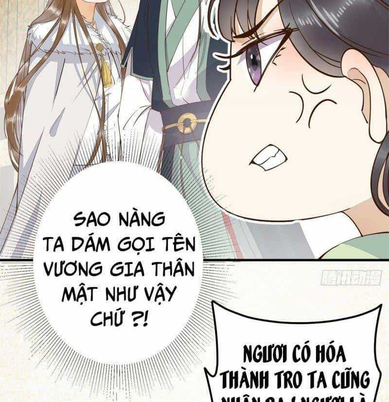 Sát Thủ Vương Phi Không Dễ Chọc - Chương 66 - ảnh 32