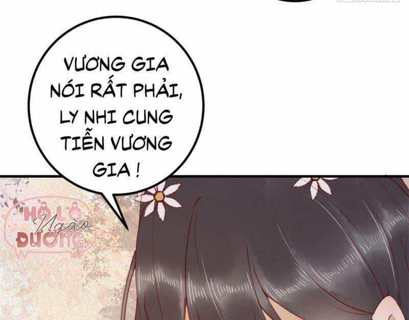 Sát Thủ Vương Phi Không Dễ Chọc - Chương 66 - ảnh 53