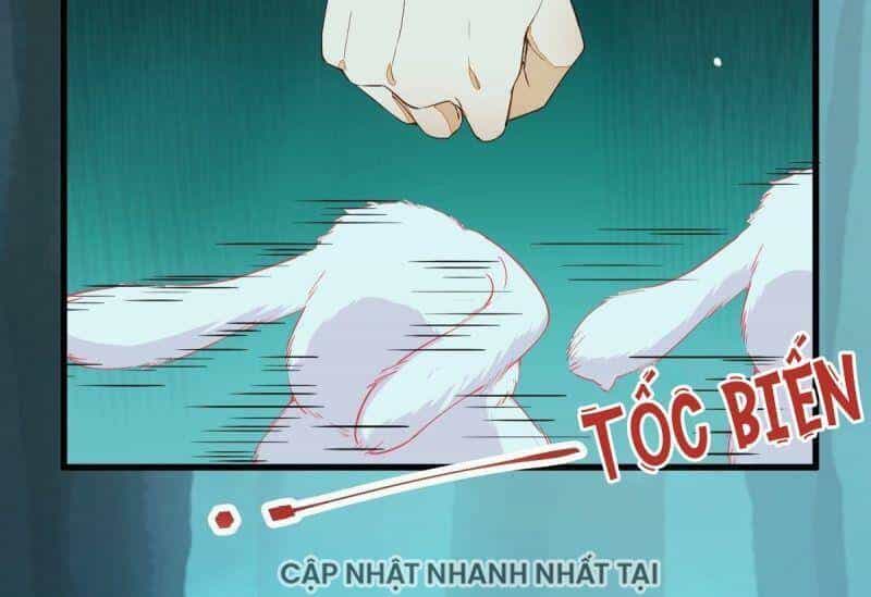 Sát Thủ Vương Phi Không Dễ Chọc - Chương 68 - ảnh 55