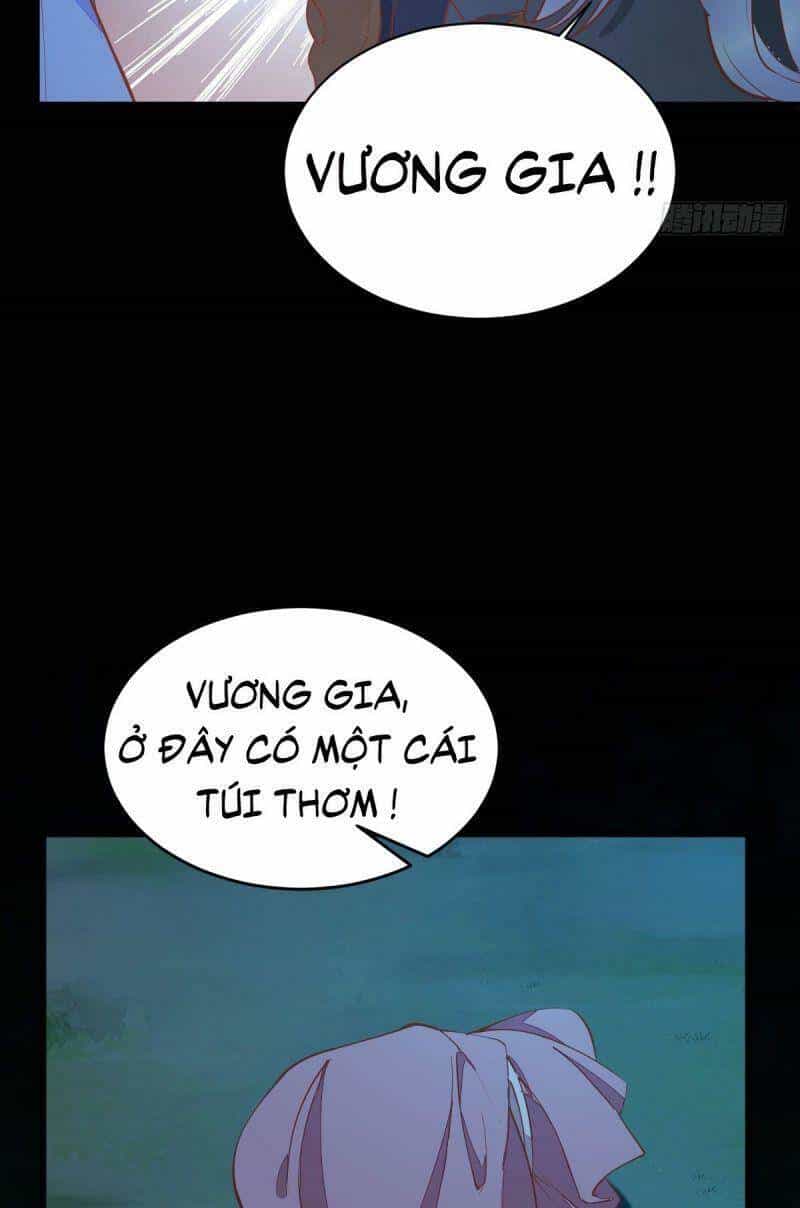 Sát Thủ Vương Phi Không Dễ Chọc - Chương 74 - ảnh 27