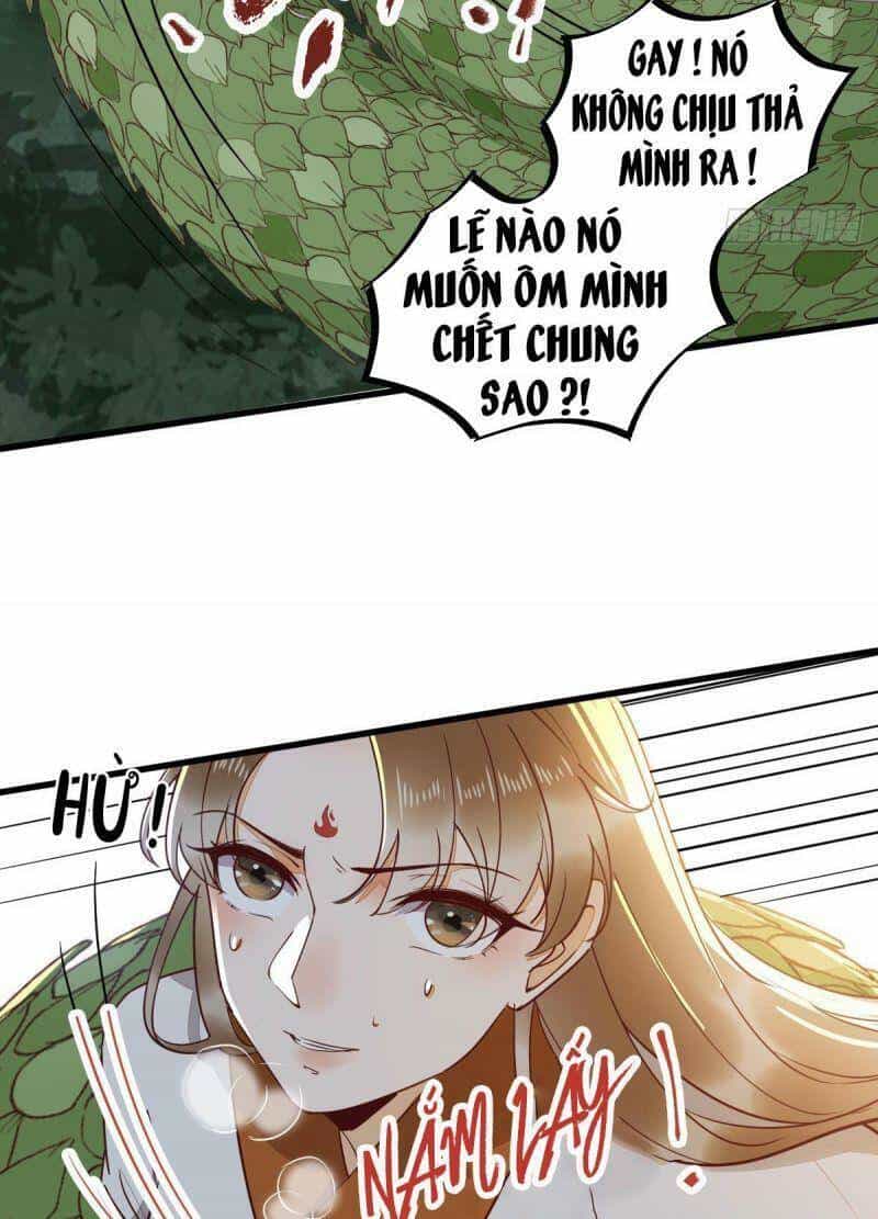 Sát Thủ Vương Phi Không Dễ Chọc - Chương 77 - ảnh 8